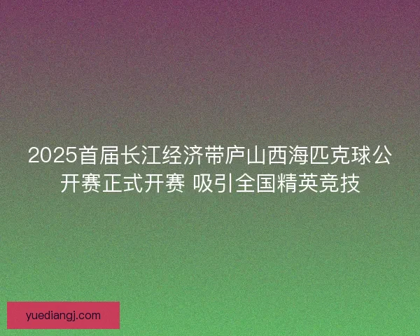 2025首届长江经济带庐山西海匹克球公开赛正式开赛 吸引全国精英竞技