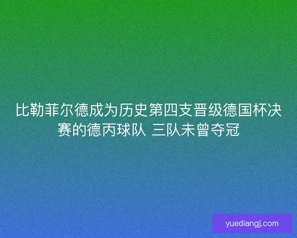 比勒菲尔德成为历史第四支晋级德国杯决赛的德丙球队 三队未曾夺冠